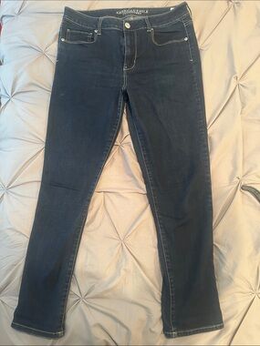 American Eagle Outfitters Navy Skinny Jeans